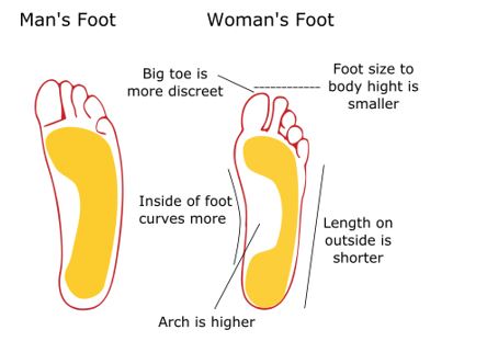 difference between male and female shoe sizes