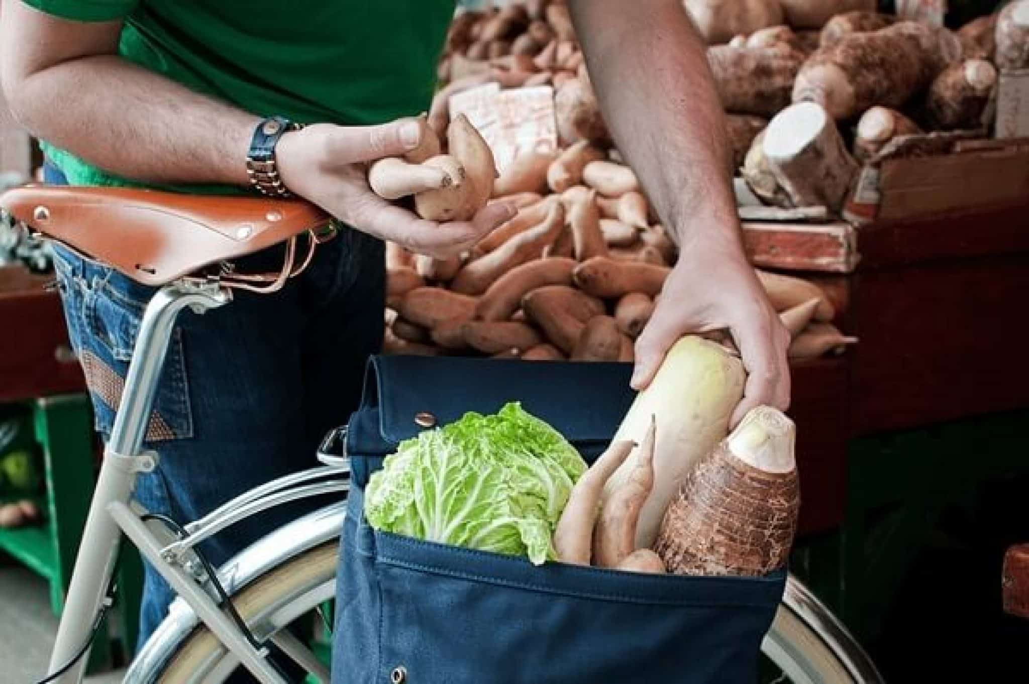 shopping panniers