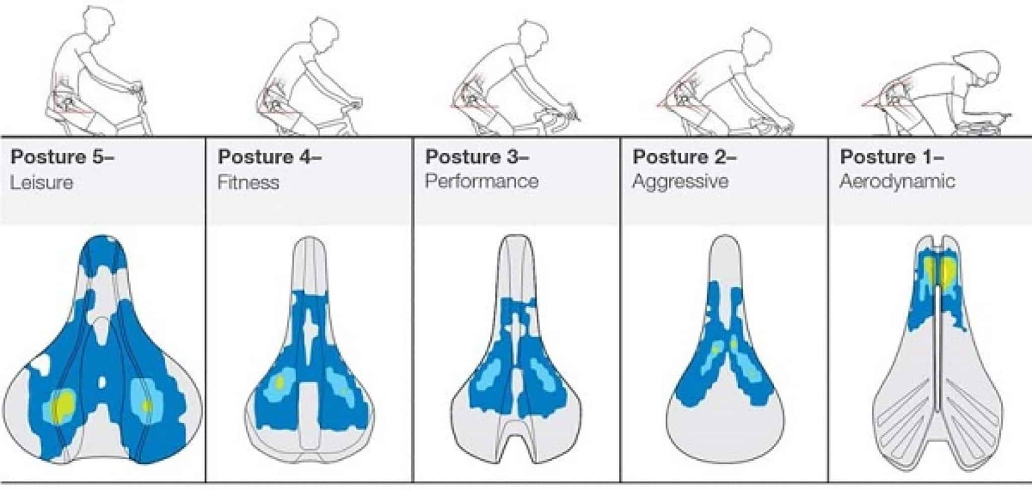 Bike Saddle Sizing Chart (The Ultimate Guide) ApexBikes