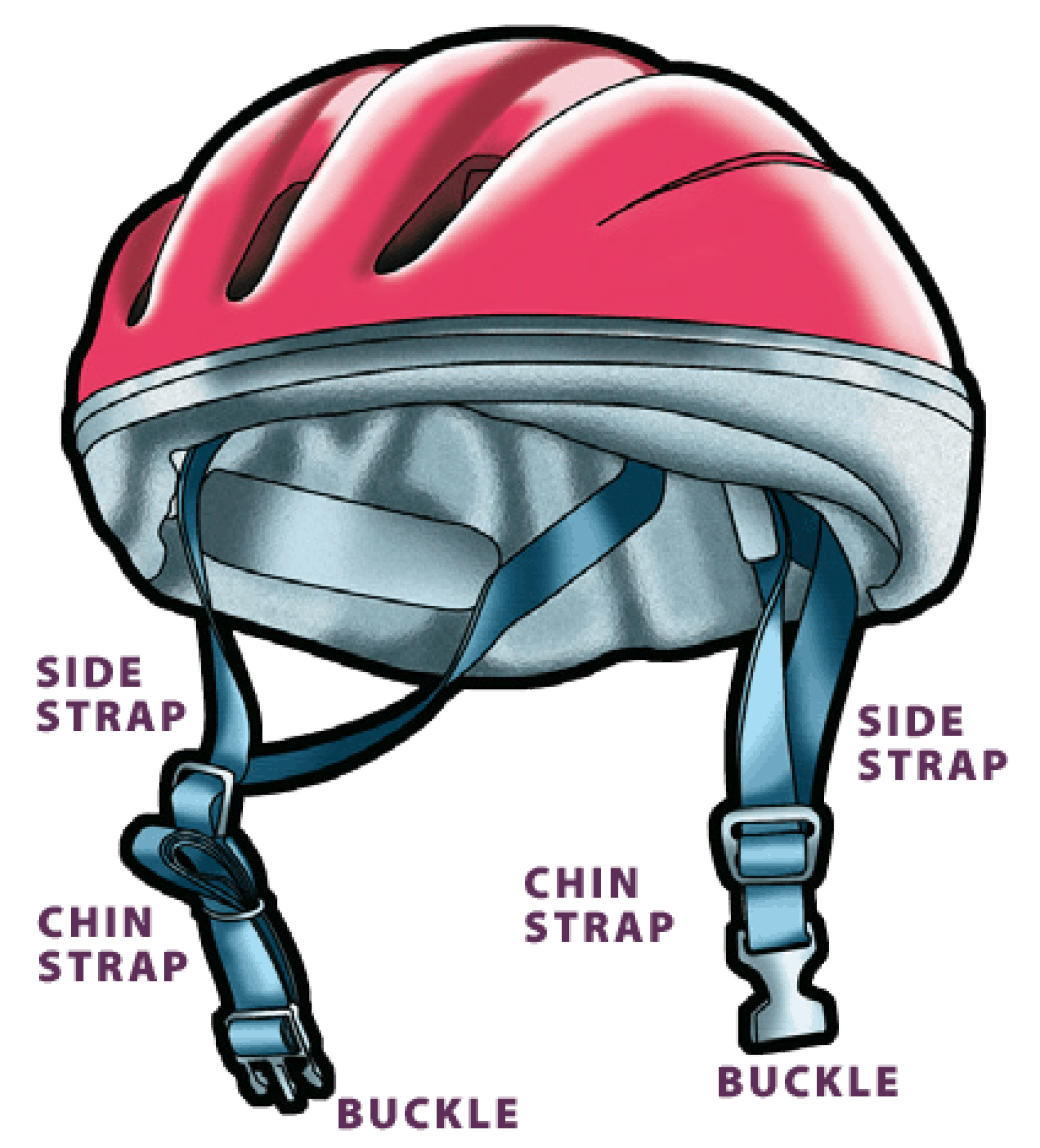 What are Bike Helmets Made Of? (Structure & Safety System)